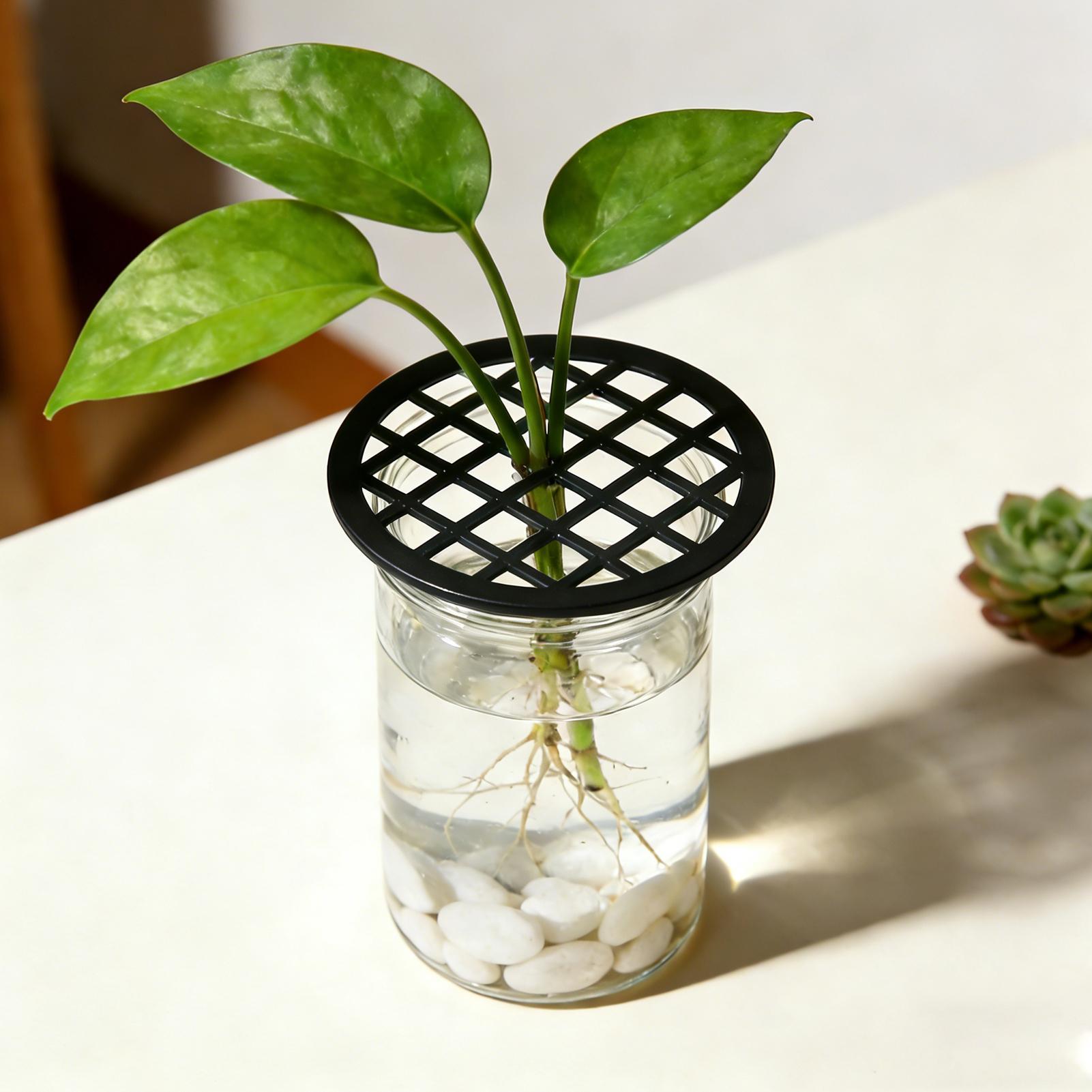 فرع النبات دعم 4 قطعة صواني ان - مراجعة Propagation Tray Dome وسعره