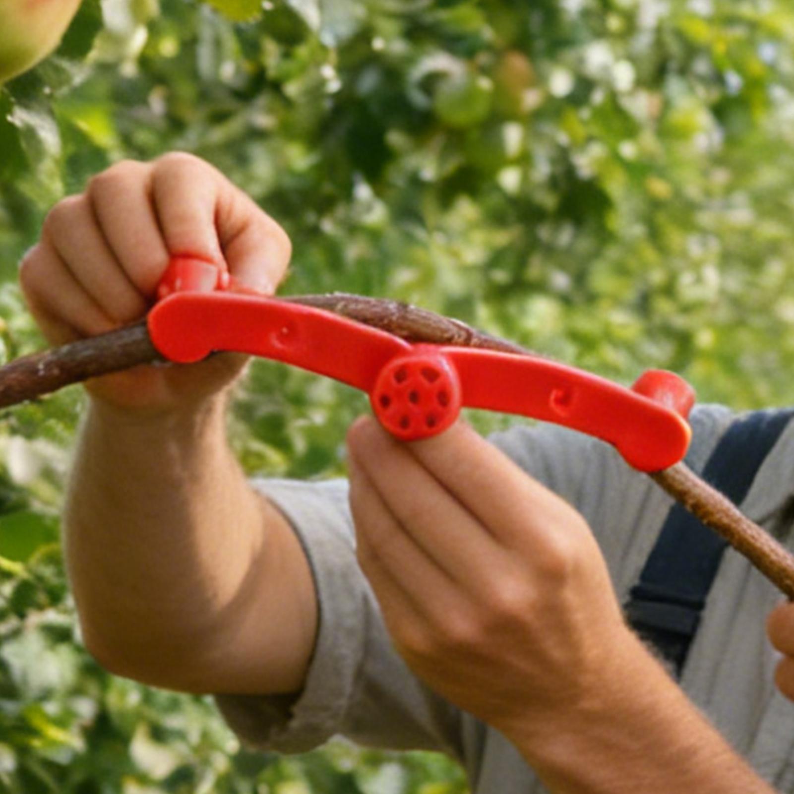 10 قطع مشابك تدريب النباتات، أ - مراجعة Gardening Tools Lowes وسعره