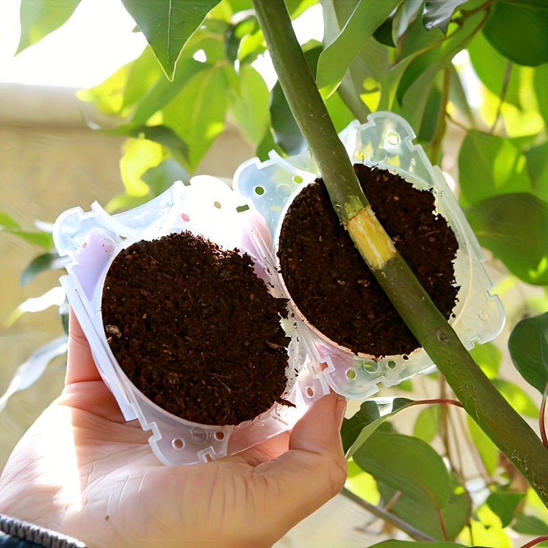 10 قطع من أدوات تكاثر النباتات - مراجعة Gardening Tools And Uses وسعره