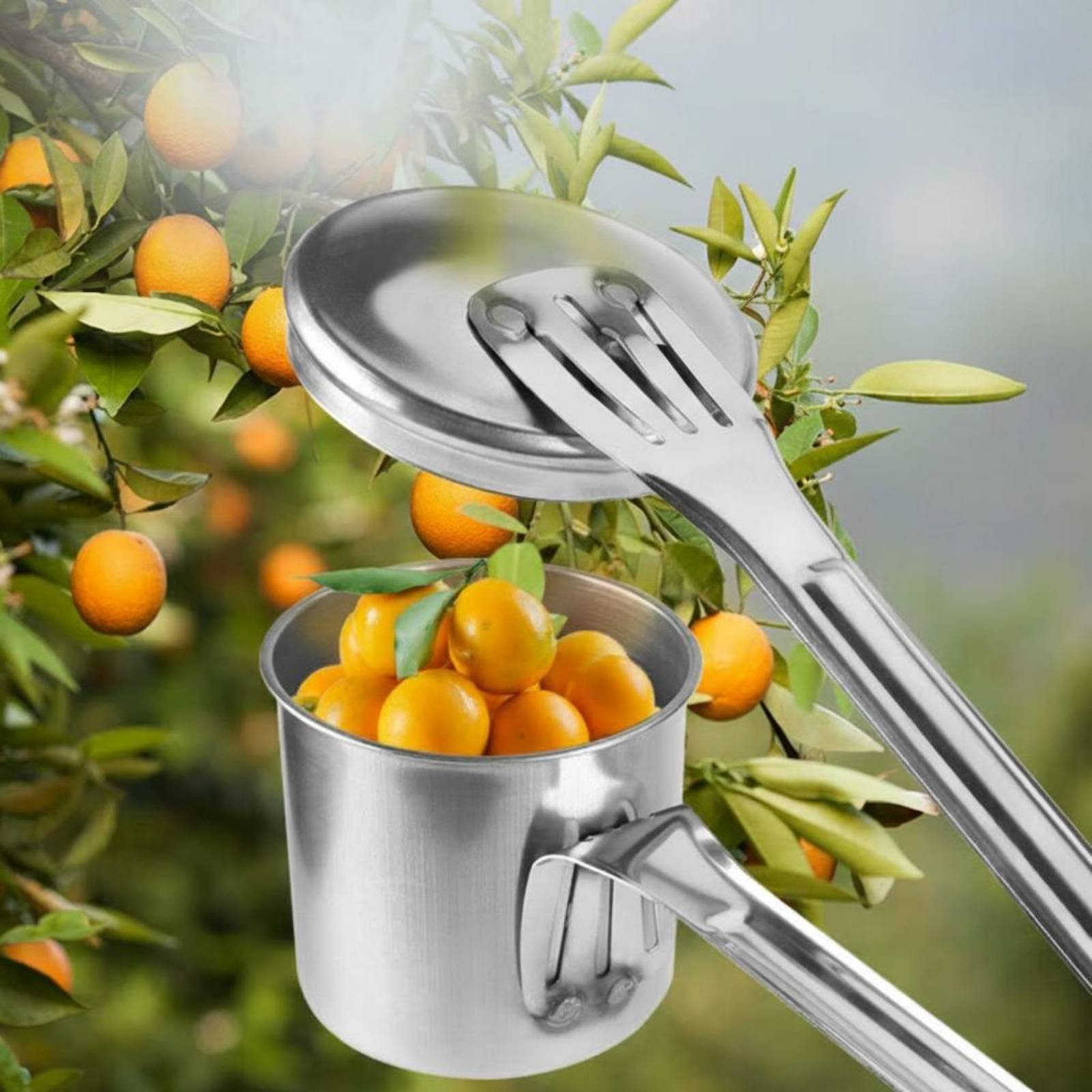 أداة التقاط الفاكهة من الفولاذ - مراجعة Gardening Tools And Uses وسعره